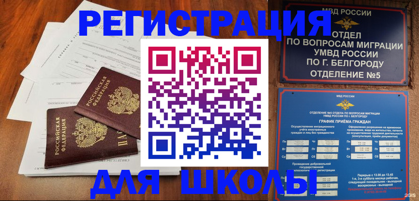 прописка поиск в Нововоронеже